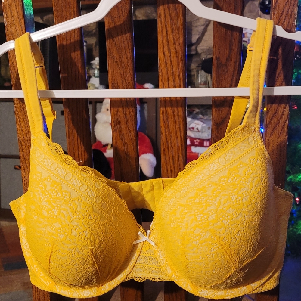 Cacique Tshirt Bra 42D